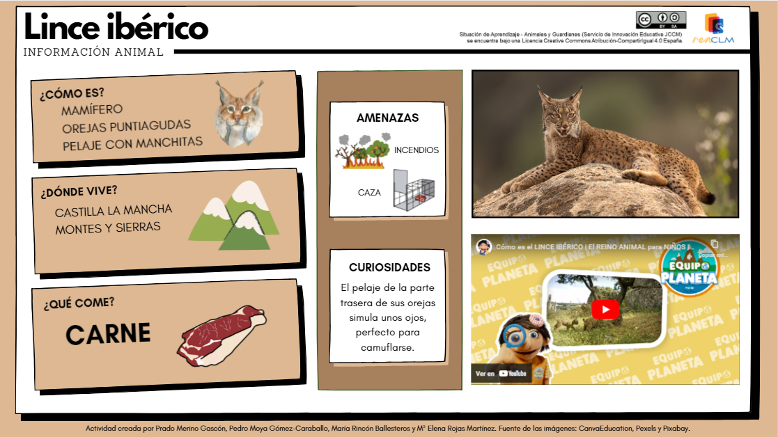 Ficha del lince ibérico, en la que aparece, en la parte izquierda, un recuadro donde indica, cómo es, dónde vive y qué come. En el medio, curiosidades y amenzas al animal. Y finalmente, en su parte derecha, una foto del lince, y un video explicativo.